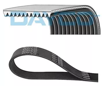 DAYCO V-Ribbed Belt (12PK1865HD)