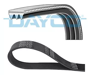 DAYCO V-Ribbed Belt (3PK905)