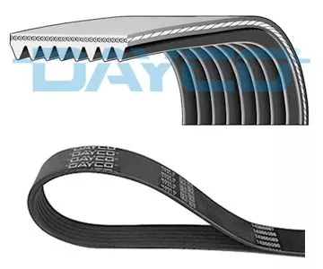 DAYCO V-Ribbed Belt (8PK1150HD)
