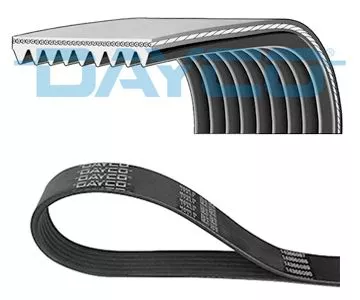 DAYCO V-Ribbed Belt (9PK2060HD)