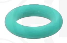 Seal Ring, injector