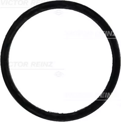 VICTOR REINZ Gasket, intake manifold (71-31647-00)