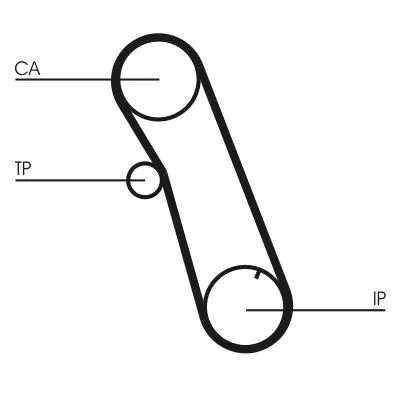 CONTINENTAL CTAM Timing Belt (CT616)