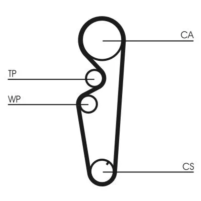 Timing Belt