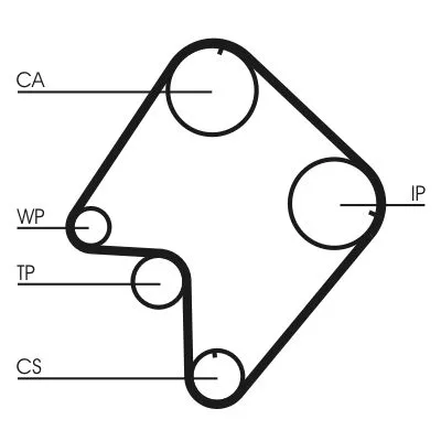 Timing Belt