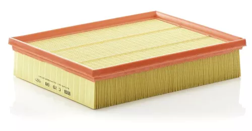 MANN-FILTER Air Filter (C29198)