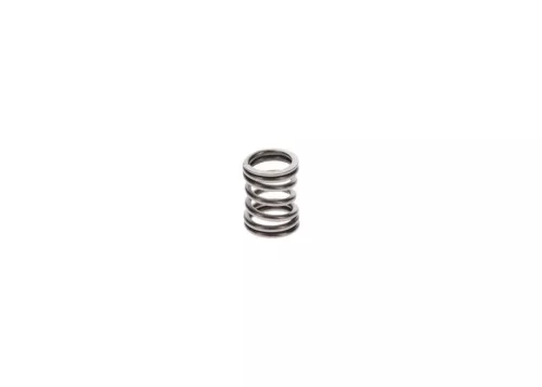 BOSCH Spring (2464633002)
