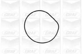 GRAF Water Pump, engine cooling (PA426)