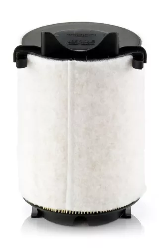 MANN-FILTER Air Filter (C14130/1)