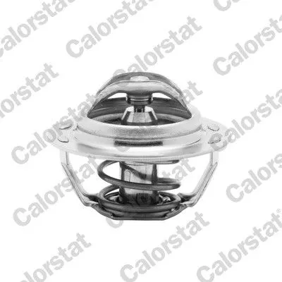 CALORSTAT by Vernet Thermostat, coolant (4885.83/J)