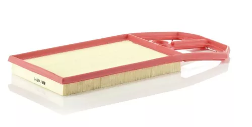 MANN-FILTER Air Filter (C4287/2)