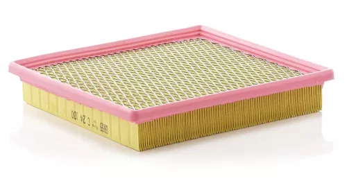 MANN-FILTER Air Filter (C24100)