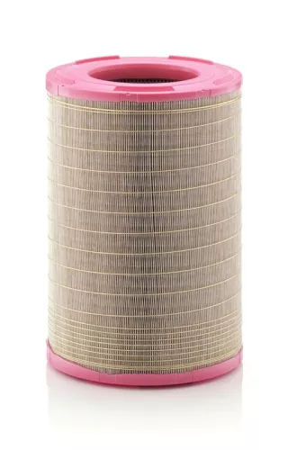 MANN-FILTER Air Filter (C301240)