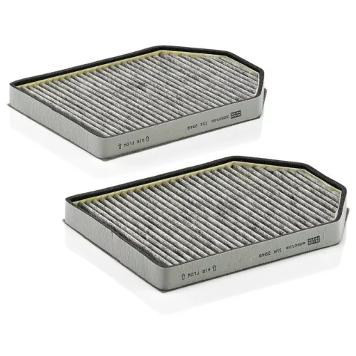 MANN-FILTER Filter, cabin air (CUK2949-2)