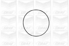 GRAF Water Pump, engine cooling (PA690)