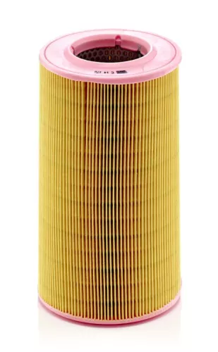 MANN-FILTER Air Filter (C14176)