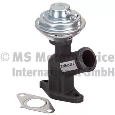 PIERBURG EGR Valve (7.22843.06.0)