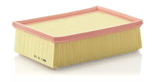 MANN-FILTER Air Filter (C25136)