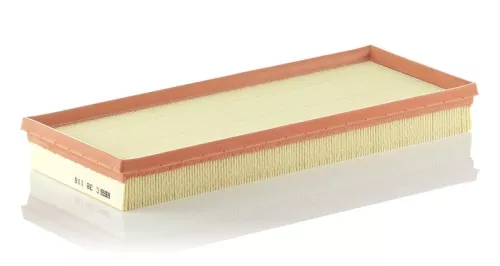 MANN-FILTER Air Filter (C38116)