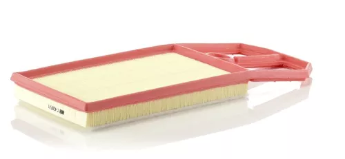 MANN-FILTER Air Filter (C4287/1)