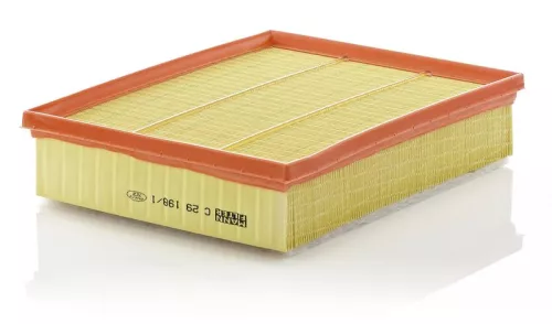 MANN-FILTER Air Filter (C29198/1)