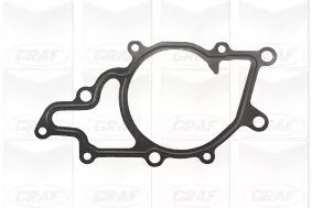 GRAF Water Pump, engine cooling (PA909)