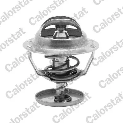 CALORSTAT by Vernet Thermostat, coolant (6838.82J)