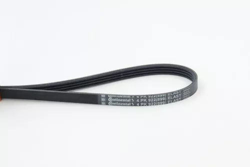 CONTINENTAL CTAM V-ribbed Belt (4PK922ELAST)