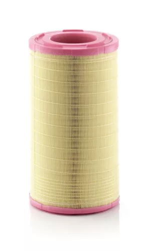 MANN-FILTER Air Filter (C261005)