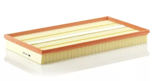 MANN-FILTER Air Filter (C42192/1)