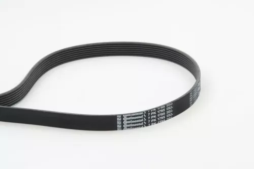 CONTINENTAL CTAM V-ribbed Belt (7PK1795)