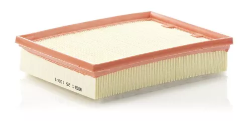 MANN-FILTER Air Filter (C25109/1)