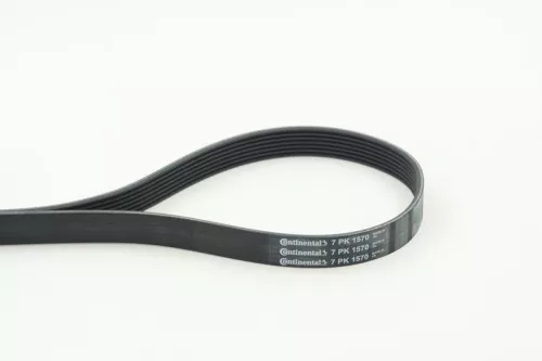 CONTINENTAL CTAM V-ribbed Belt (7PK1570)