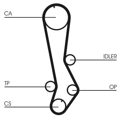 CONTINENTAL CTAM Timing Belt (CT876)