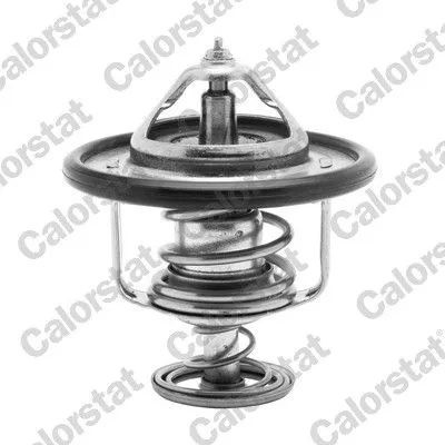 CALORSTAT by Vernet Thermostat, coolant (6840.82J)