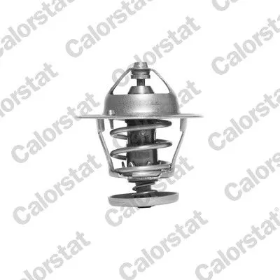 CALORSTAT by Vernet Thermostat, coolant (6296.78J)