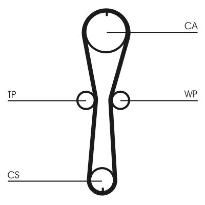 CONTINENTAL CTAM Water Pump & Timing Belt Kit (CT915WP1)