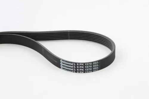 CONTINENTAL CTAM V-ribbed Belt (6PK1370)