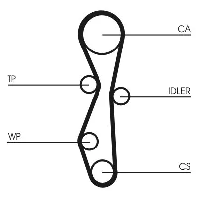 CONTINENTAL CTAM Timing Belt (CT1091)