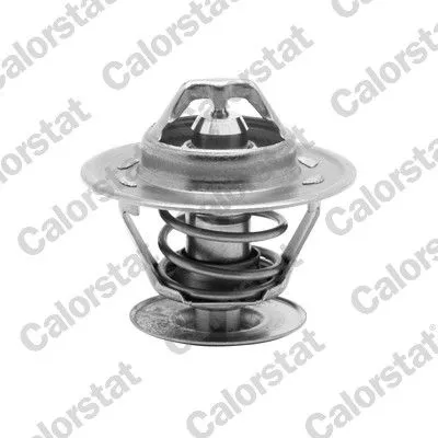 CALORSTAT by Vernet Thermostat, coolant (1335.92/J)