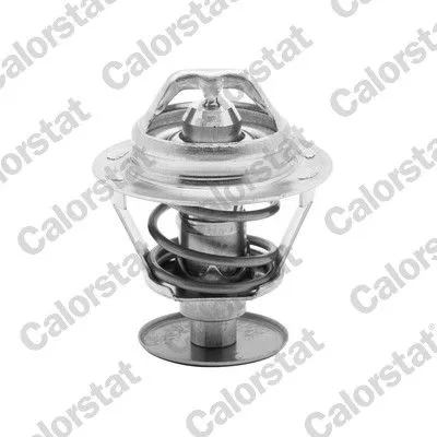 CALORSTAT by Vernet Thermostat, coolant (1542.89/J)