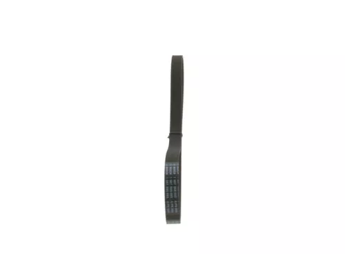 V-Ribbed Belt