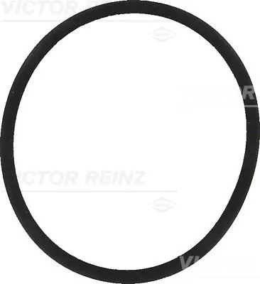VICTOR REINZ Gasket, intake manifold (40-77557-00)