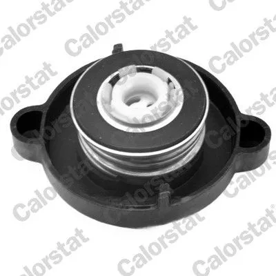CALORSTAT by Vernet Cap, coolant tank (RC0020)