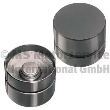 KOLBENSCHMIDT Tappet (50006460)