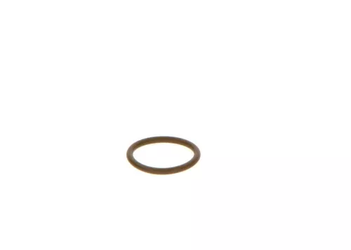 BOSCH Seal Ring (F00VC38044)