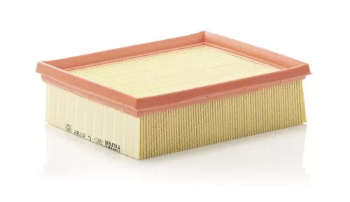 MANN-FILTER Air Filter (C2192)