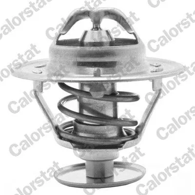 CALORSTAT by Vernet Thermostat, coolant (1419.82/J)