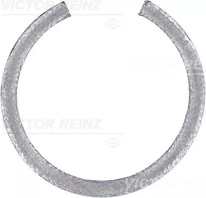 VICTOR REINZ Shaft Seal, crankshaft (71-19722-00)