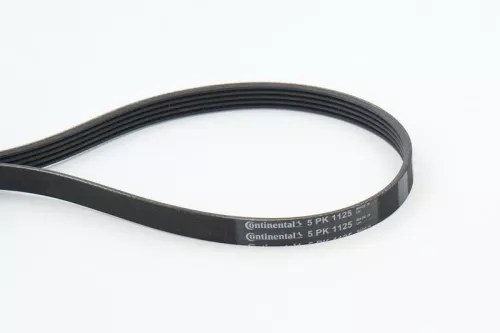CONTINENTAL CTAM V-ribbed Belt (5PK1125)